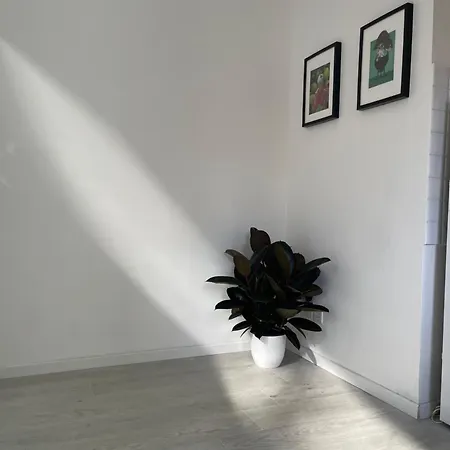 Sant'orsola Apartament *